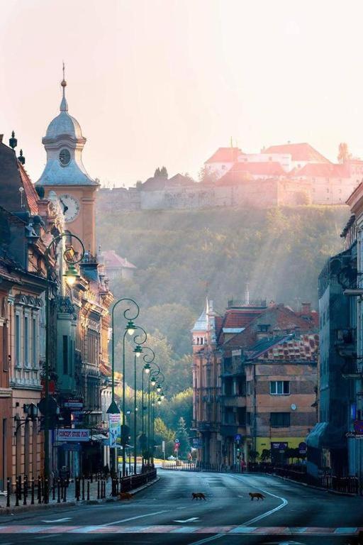 Centrul Vechi Brasov Old Center Apartment Ngoại thất bức ảnh
